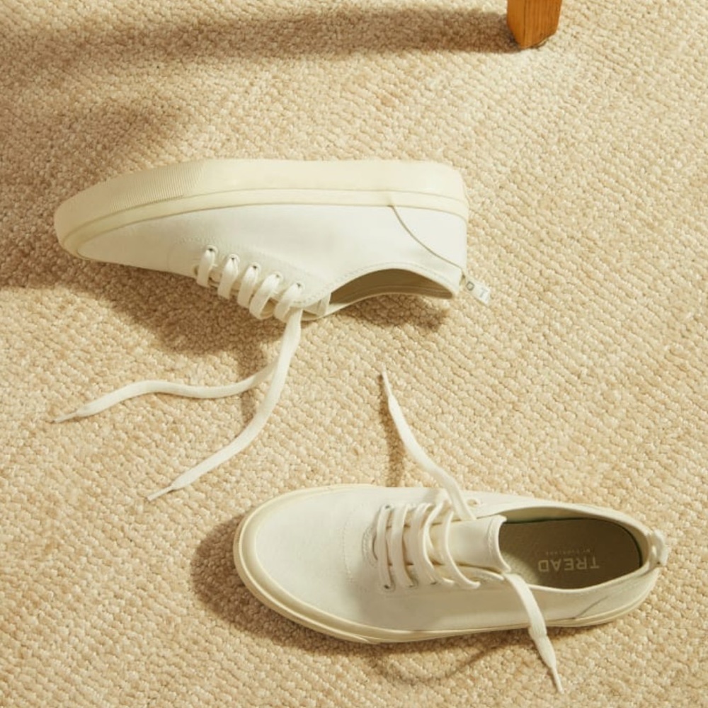 Everlane Canvas Forever Sneakers
